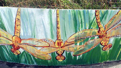 Dragonflies by Lorraine Ward